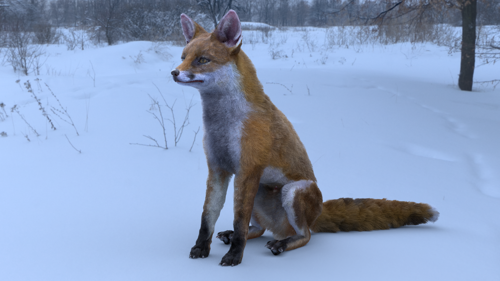 Red Fox with fur and Rig preview image